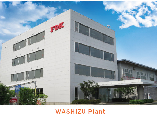 Washizu Plant